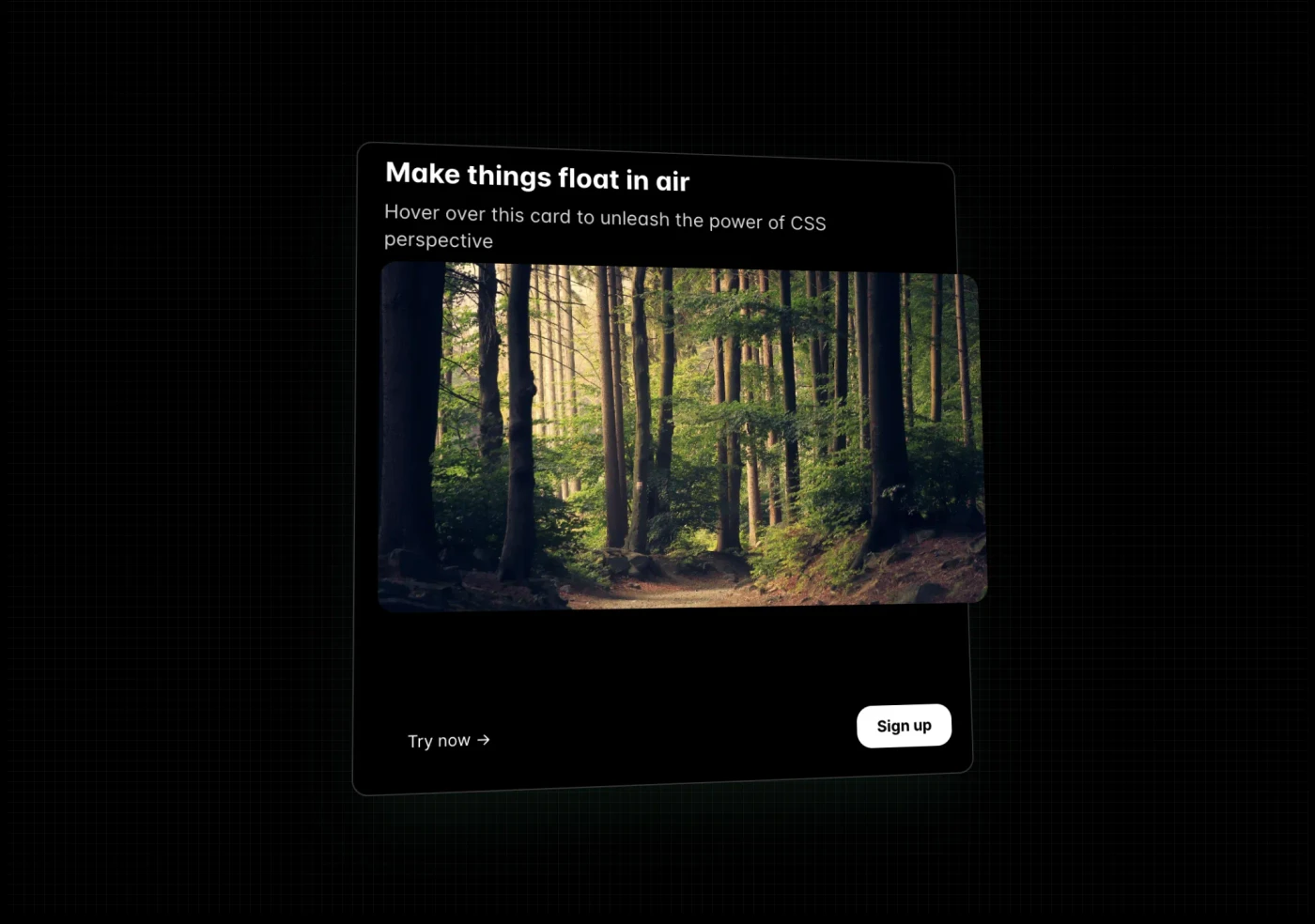 Aceternity UI · 3D Card已有展示截图